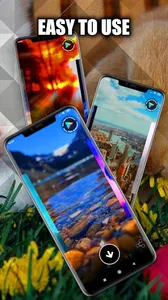 Bunny Live Wallpaper | Cute Bu screenshot 1