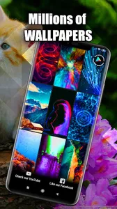 Cat Wallpaper Live HD/3D/4K screenshot 2