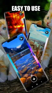 Cat Wallpaper Live HD/3D/4K screenshot 7