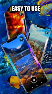 Fish Wallpaper Live HD/3D/4K screenshot 4