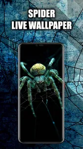 Spider Live Wallpaper | Spider screenshot 3