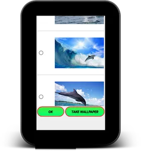 Dolphin Live Wallpaper screenshot 10