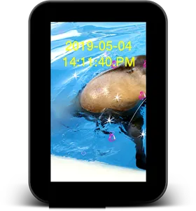 Dolphin Live Wallpaper screenshot 8