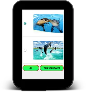 Dolphin Live Wallpaper screenshot 9