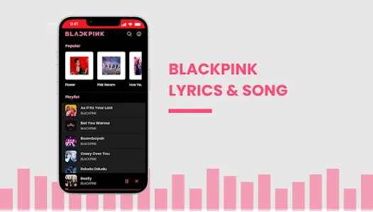BlackPink Lyrics & Song screenshot 6