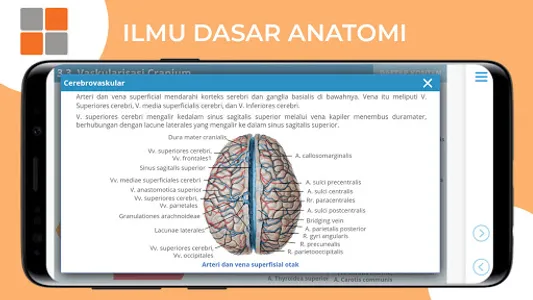 M3 Gizi: Ilmu Dasar Anatomi 1 screenshot 10