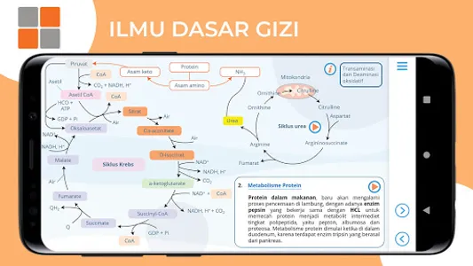M3 Gizi: Ilmu Dasar Gizi screenshot 4