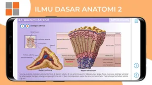 M3 Kesehatan: Ilmu Dasar Anato screenshot 5