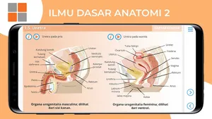 M3 Kesehatan: Ilmu Dasar Anato screenshot 9