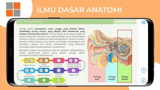 M3 Kesmas: Ilmu Dasar Anatomi  screenshot 18