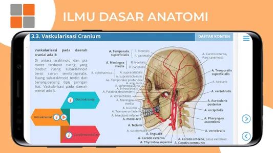 M3 Kesmas: Ilmu Dasar Anatomi  screenshot 9
