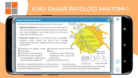 M3 Kesmas: Ilmu Dasar Patologi screenshot 13