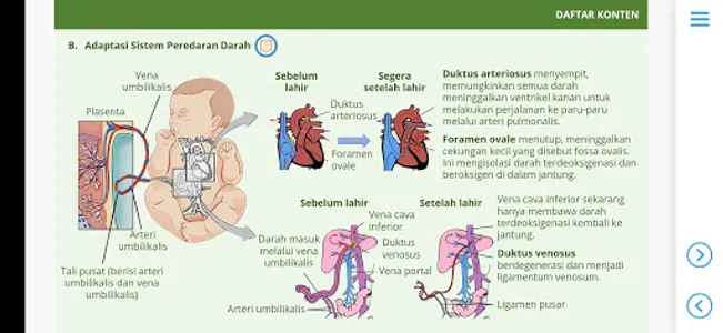 M3 Kebidanan: Asuhan Persalina screenshot 16