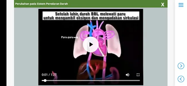 M3 Kebidanan: Asuhan Persalina screenshot 17