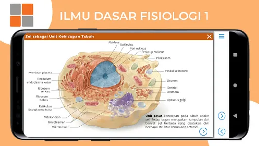 M3 Kebidanan: Ilmu Dasar Fisio screenshot 2