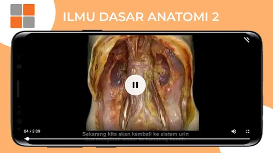 M3 TLM: Ilmu Dasar Anatomi 2 screenshot 13