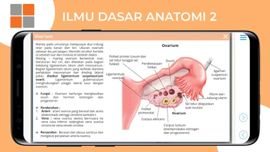 M3 TLM: Ilmu Dasar Anatomi 2 screenshot 17