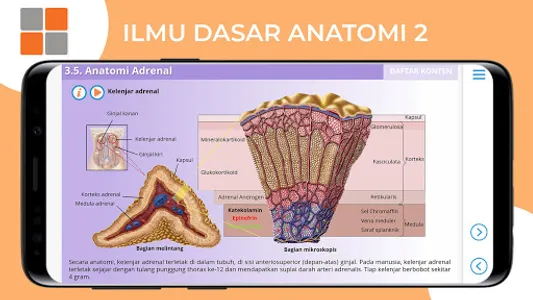 M3 TLM: Ilmu Dasar Anatomi 2 screenshot 19