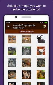 Animal Encyclopedia Offline screenshot 22