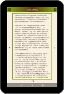 Madzinza screenshot 8