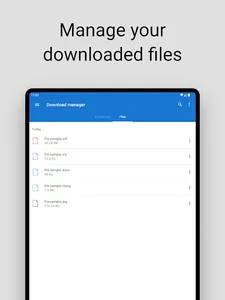 Download manager screenshot 10