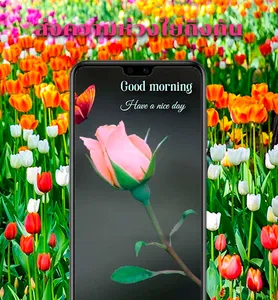 สวัสดีตอนเช้า screenshot 0