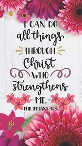 Inspirational Bible Quotes screenshot 2