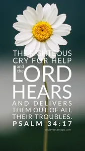 Inspirational Bible Quotes screenshot 4