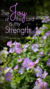 Inspirational Bible Quotes screenshot 6