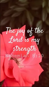 Inspirational Bible Quotes screenshot 7