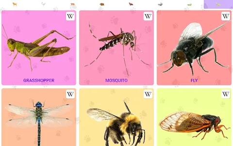 Animal Sounds screenshot 10