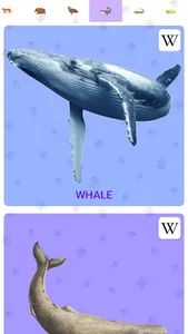 Animal Sounds screenshot 2