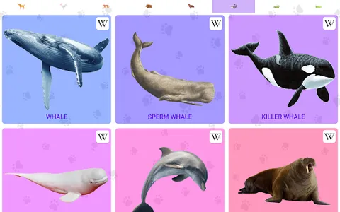Animal Sounds screenshot 9