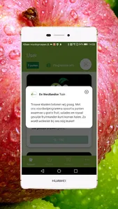 De Westlandse Tuin screenshot 3