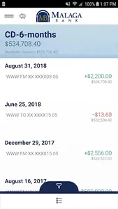 Malaga Bank screenshot 2