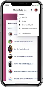 MalianTube Partenaire screenshot 1