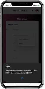 MalianTube Partenaire screenshot 3