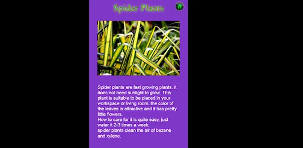 Best purifying house plants screenshot 3