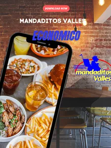 Mandaditos Valles screenshot 0