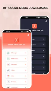 STORY & STATUS SAVER PRO screenshot 1