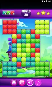 Mandi Pandi's Fun Puzzle Block screenshot 4