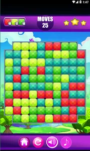 Mandi Pandi's Fun Puzzle Block screenshot 6