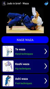 Judo in brief screenshot 1