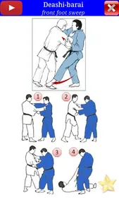 Judo in brief screenshot 2