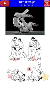 Judo in brief screenshot 5