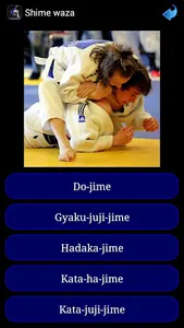 Judo in brief screenshot 6