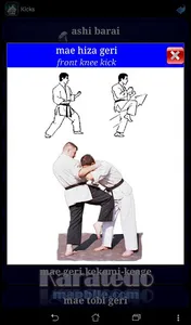 Karate WKF screenshot 9