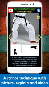 Taekwondo Pro screenshot 7