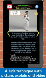 Taekwondo Pro screenshot 9