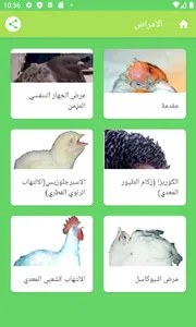 هواة الطيور screenshot 6